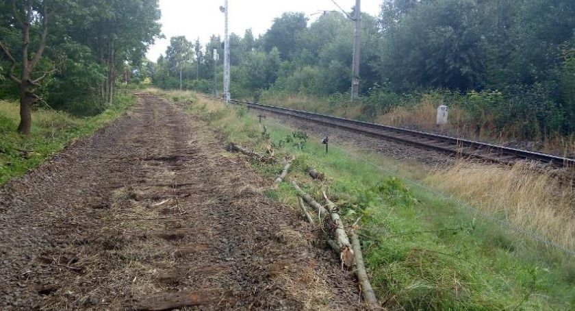 Ze starej linii kolejowej zdemontowali szyny i podkłady
