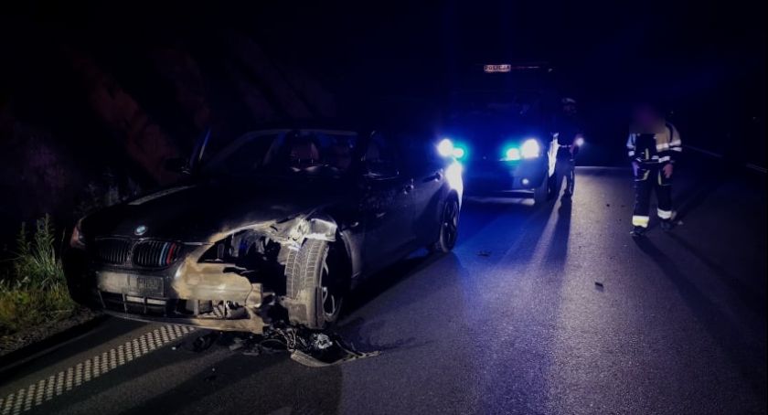 Kierowca BMW potrącił dzika