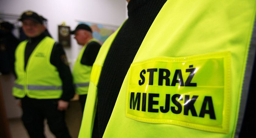 Pracowity tydzień Straży Miejskiej