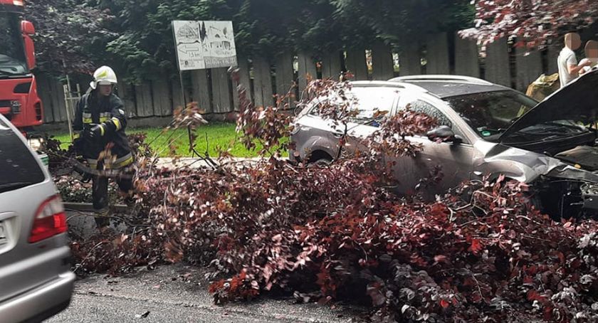 W czasie jazdy użądliła ją pszczoła. Kobieta wjechała w drzewo.