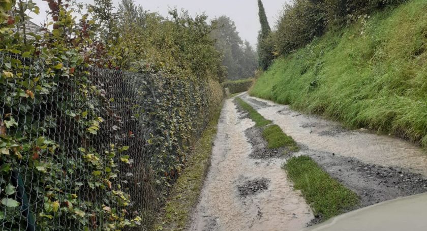 Drogi gminne w Dziwiszowie w katastrofalnym stanie zagrażają życiu i zdrowiu mieszkańców 