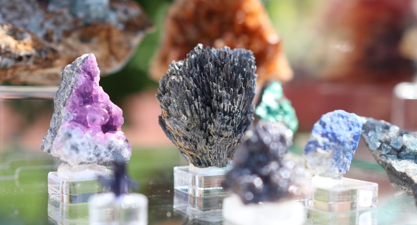 Trwa 55 Giełda Minerałów, Skał i Skamieniałości