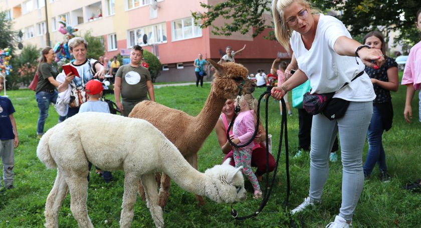 W Piechowicach wspominali wakacje