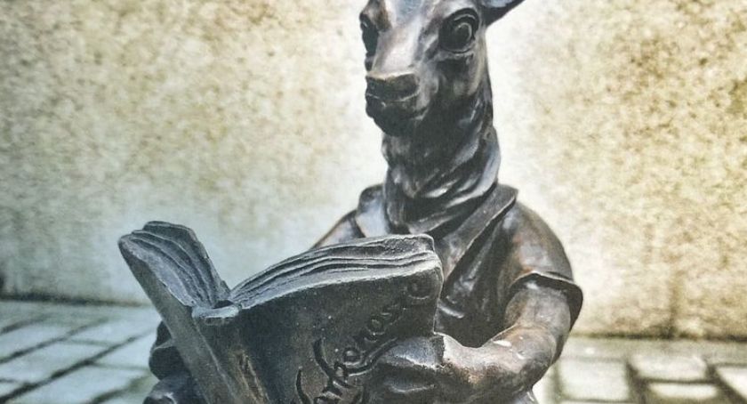 Złodziej jelonka zatrzymany