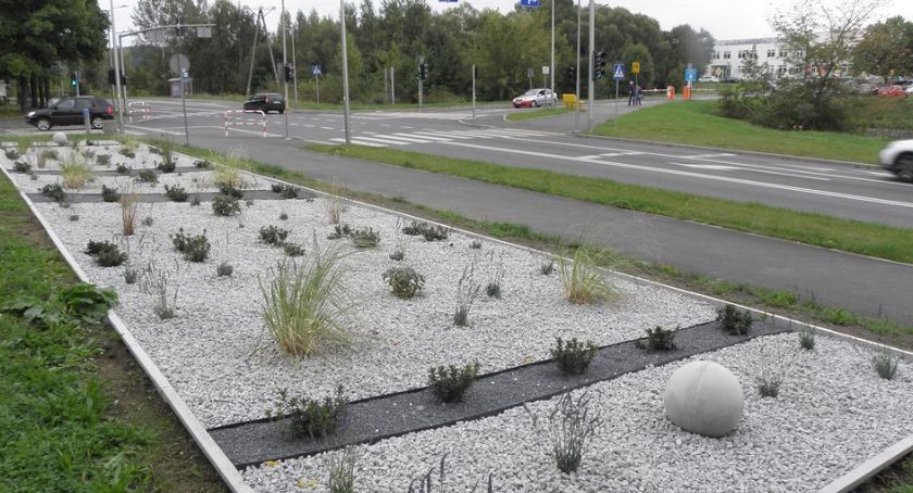 Zielone Zabobrze ukończone. Niestety skradziono już część roślin.