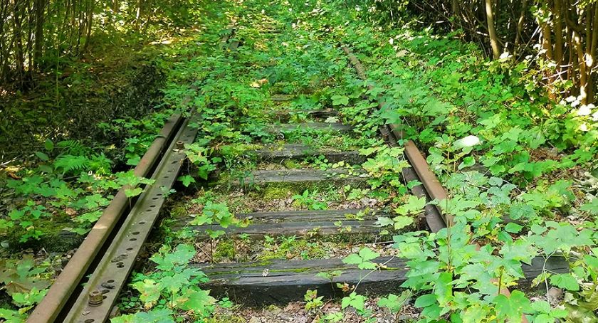Wiemy, które linie kolejowe są w planach województwa do 2028 roku?