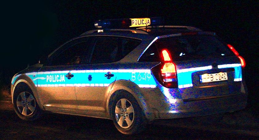 Audi zderzyło się z krową