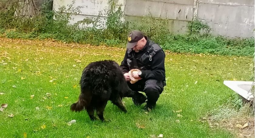 Interwencja strażników przy ul. Warszawskiej