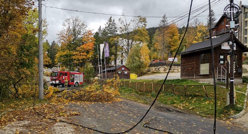 Mocno dziś powiało. Wiele interwencji strażaków. Paraliż na drogach. Nie kursują pociągi.