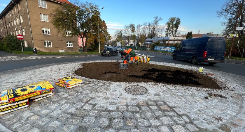 Jelenia Góra : Rondo przy ul. Złotniczej pięknieje