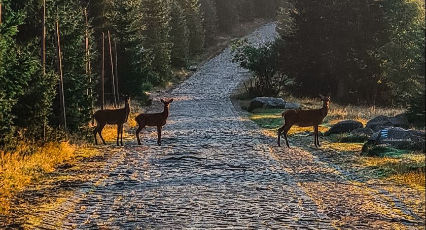 Nowe kalendarze Karkonosze GO 2022 już w sprzedaży!