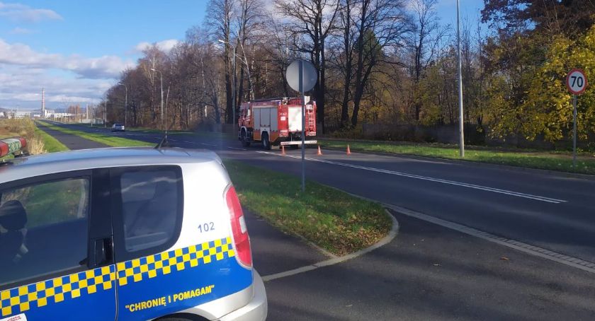 Niebezpieczna brzoza na ul. Spółdzielczej