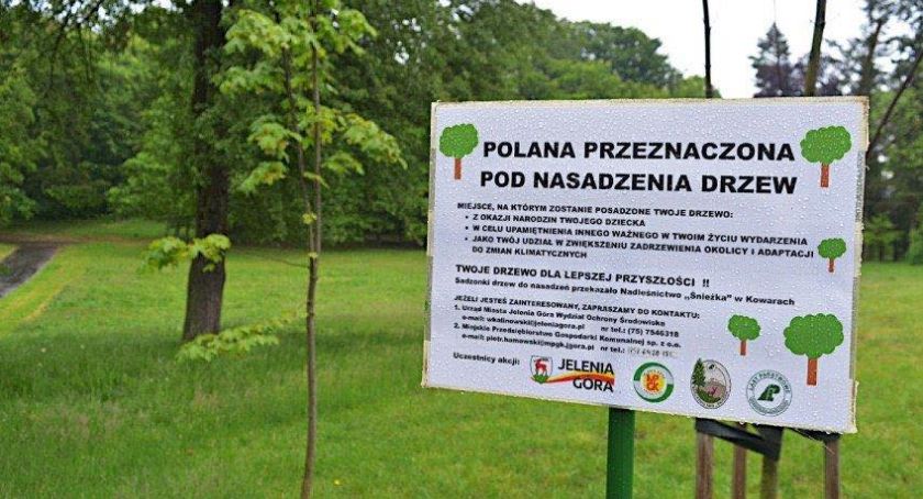 Wandale połamali sadzonki w Parku na Wzgórzu Kościuszki