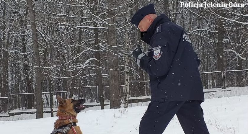 Policjanci kolejny raz uderzyli w przestępczość narkotykową. Ponad 11  tysięcy porcji narkotyków nie trafi na rynek