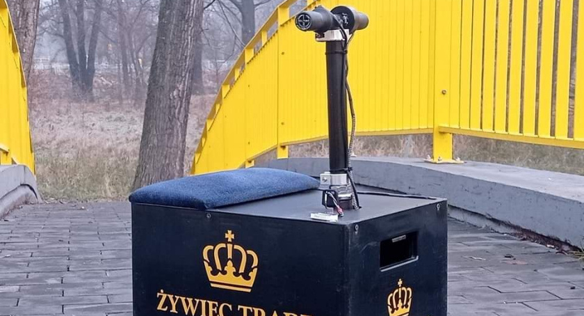 Jazda na skrzynce od piwa czyli Piwo racing