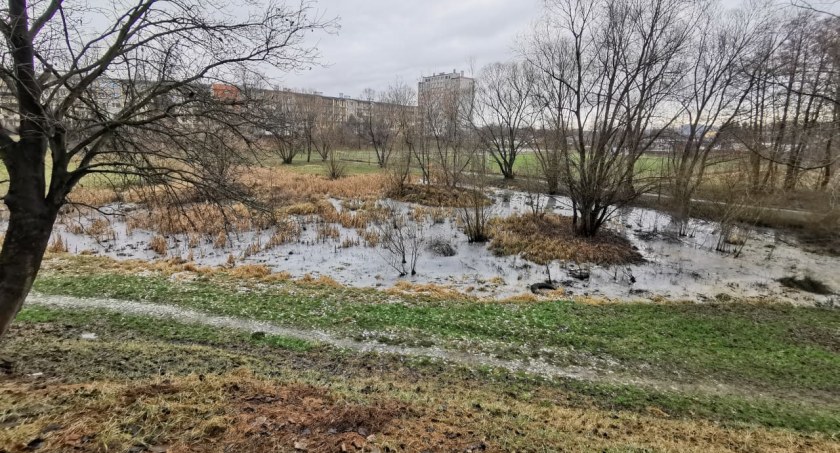 Jelenia Góra : Tajemnicza śmierć mężczyzny przy ul. Kolberga