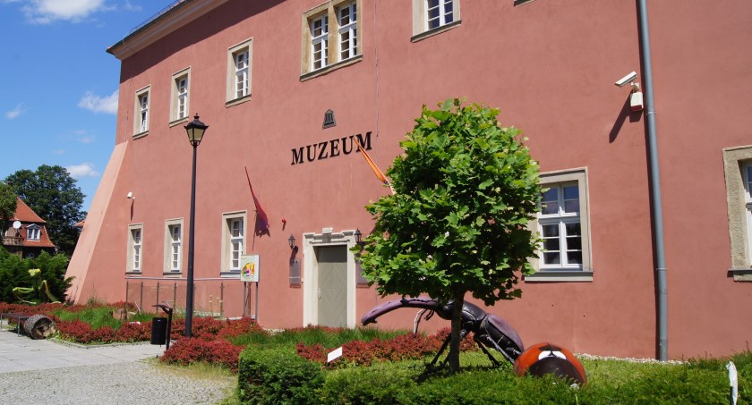 Nadchodzące imprezy w Muzeum Przyrodniczym 