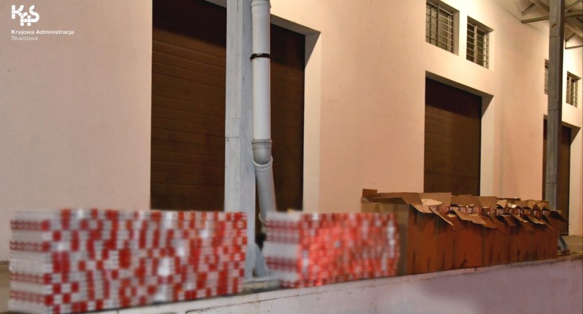Shila pomogła wytropić nielegalnie przewożone papierosy 