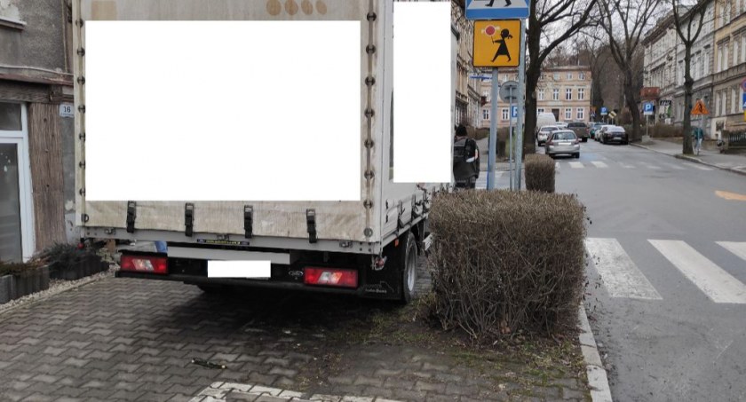 Przedstawiamy kilku kolejnych mistrzów parkowania