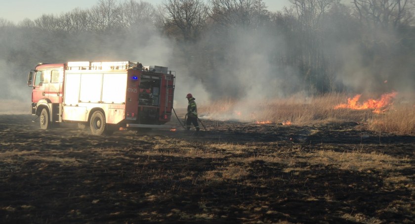 Idzie wiosna, a z nią sezon na wypalanie traw