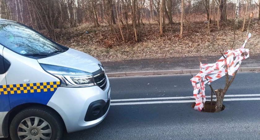 Strażnicy miejscy wyeliminowali zagrożenie w ruchu drogowym