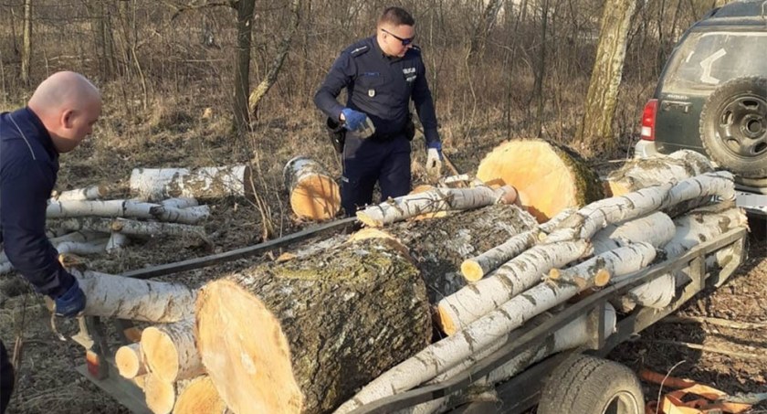 Mężczyźnie grożą 3 lata pozbawienia wolności za kradzież drewna z lasu