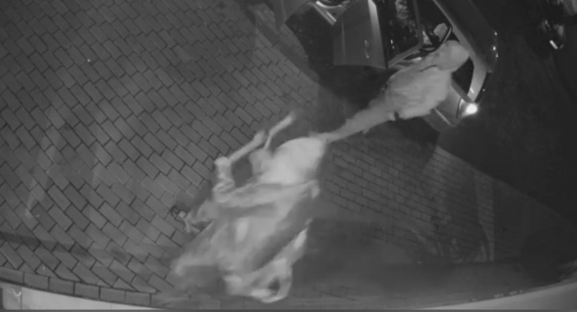 Wybili szybę i ukradli rower elektryczny. Film z kradzieży