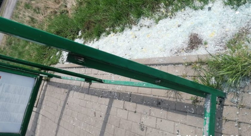 Wandal, który niszczył mienie publiczne i nie tylko złapany