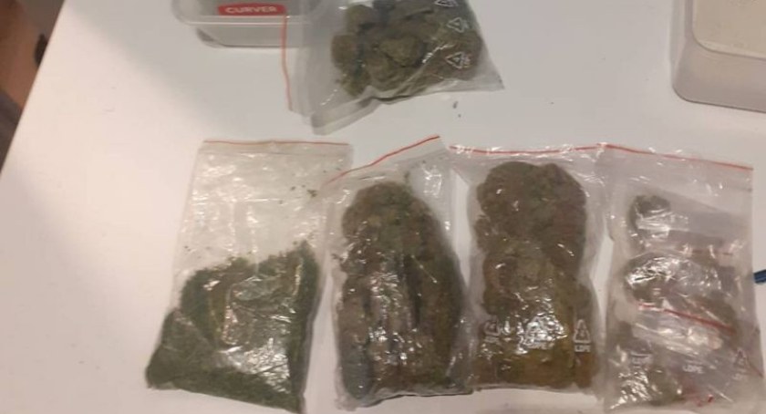Policja ujawniła nielegalną plantację marihuany. Hurtownik został zatrzymany.