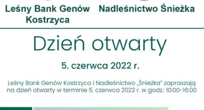 Dzieje się w Podgórzynie. Dzień otwarty w Leśnym Banku Genów Kostrzyca i Nadleśnictwie Śnieżka