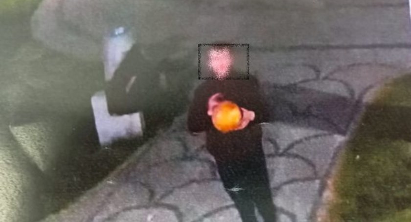 Piechowice - bez powodu zniszczyli lampę w parku