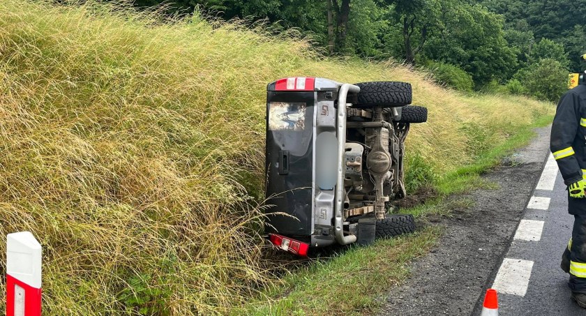 Podróżując z psami wypadł z drogi i wylądował na boku w rowie