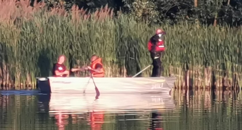 Strażacy ratowali małe łabędzie