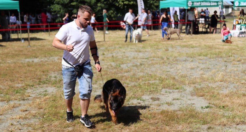 Karkonoska Wystawa Psów Rasowych cz. 2
