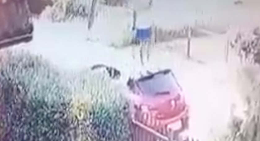 Przechodząc ulicą zdewastował samochód. Nagrał go monitoring. Film