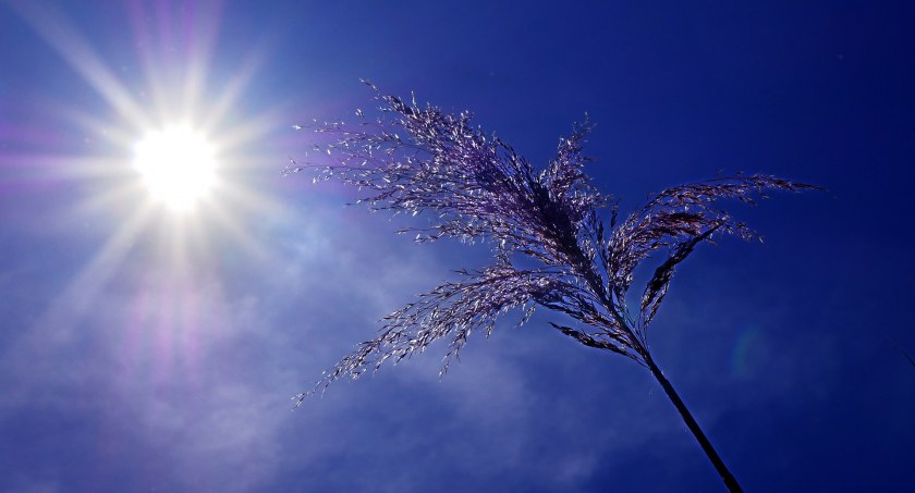 Nadchodzą upały. Temperatura sięgnie nawet 34 stopni!