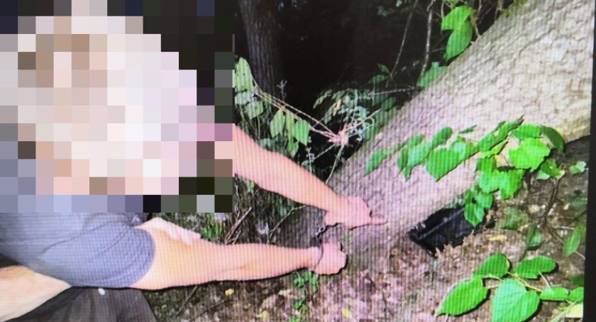 Ukradł drewno i kamerę – wpadł w ręce policjantów