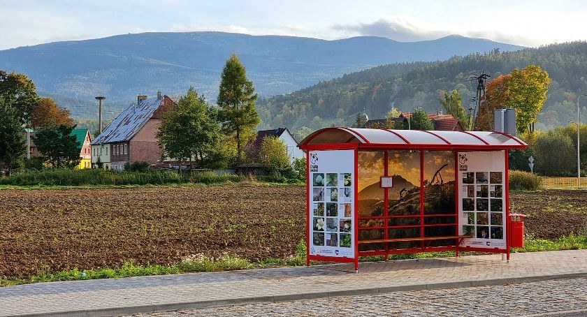 Strategia rozwoju gminy Podgórzyn. Ankieta dla mieszkańców