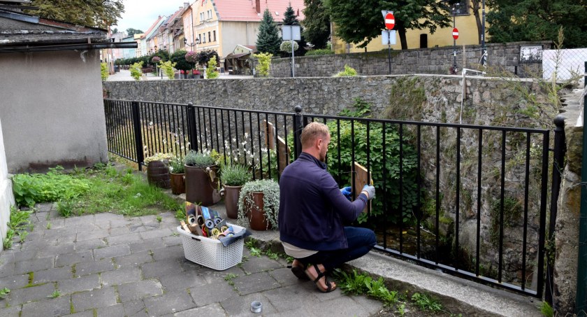 Kowary pięknieją