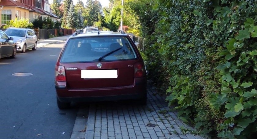 Mandat i zdjęcie dla Mistrzów Parkowania