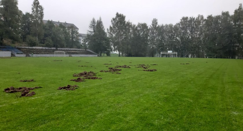 Zniszczona murawa stadionu w Świeradowie-Zdroju