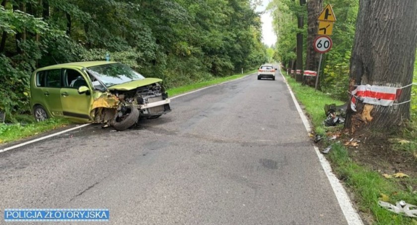 Osobówka uderzyła czołowo w drzewo. Zaskakujący powód wypadku.