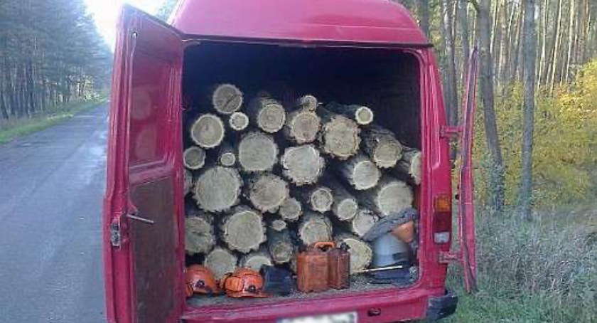 Kradzieże drewna z lasu stały się codziennością
