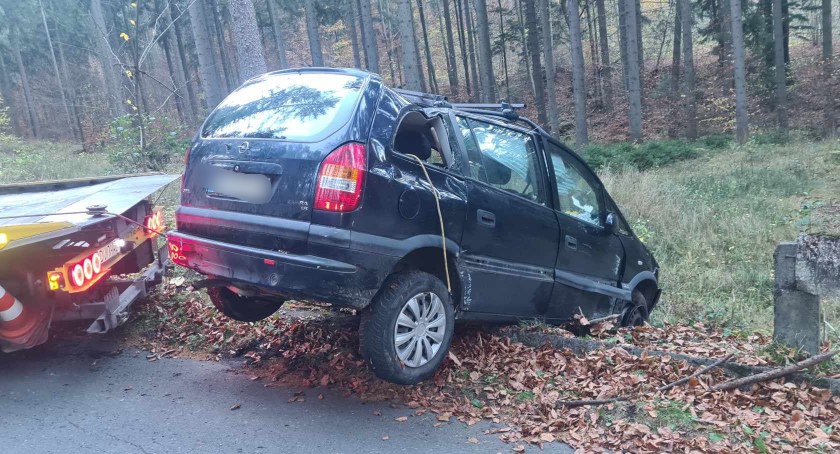 Oplem wypadli z drogi i wylądowali w lesie