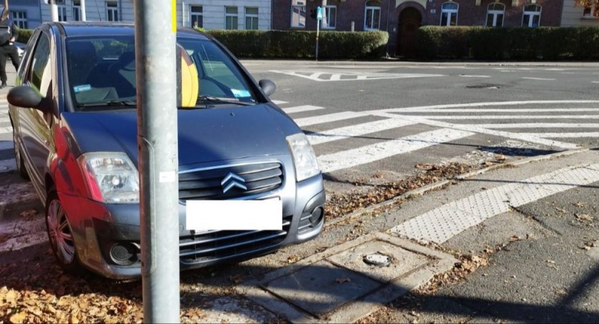 Prawdziwi Mistrzowie Parkowania zasłużyli na mandat