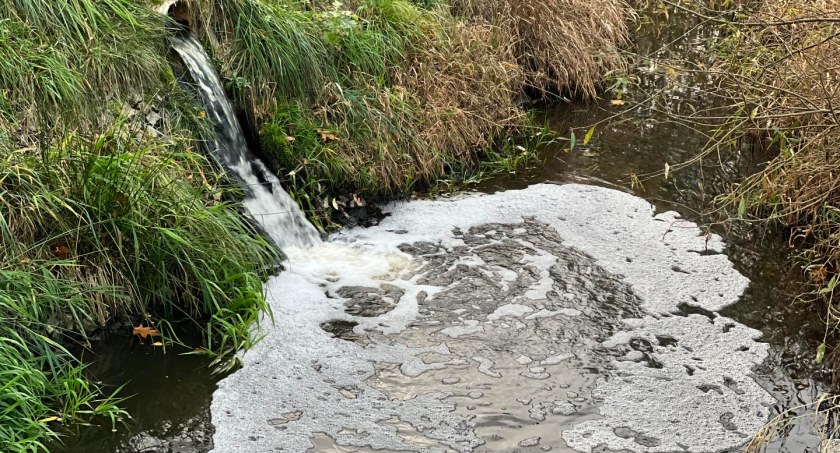 Cieplice toną w ściekach. KSWiK zalewa Uzdrowisko