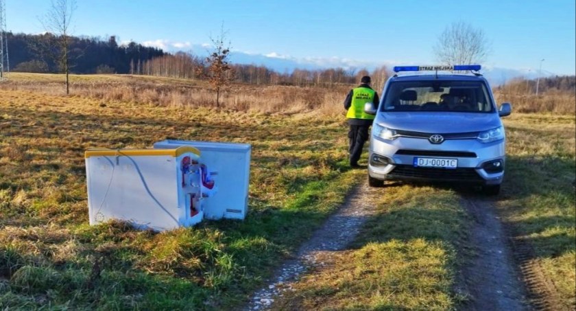 Chłodziarki wyrzucił na łąkę