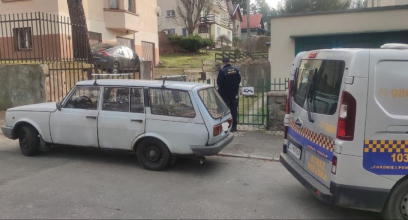 Mistrzowie Parkowania nie mają sobie równych