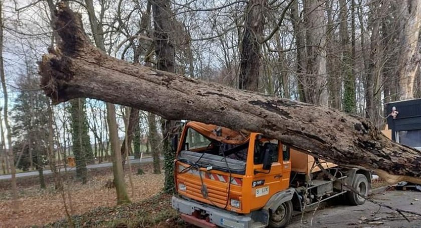 Wiatr przewrócił drzewo, które spadło na kabinę ciężarówki
