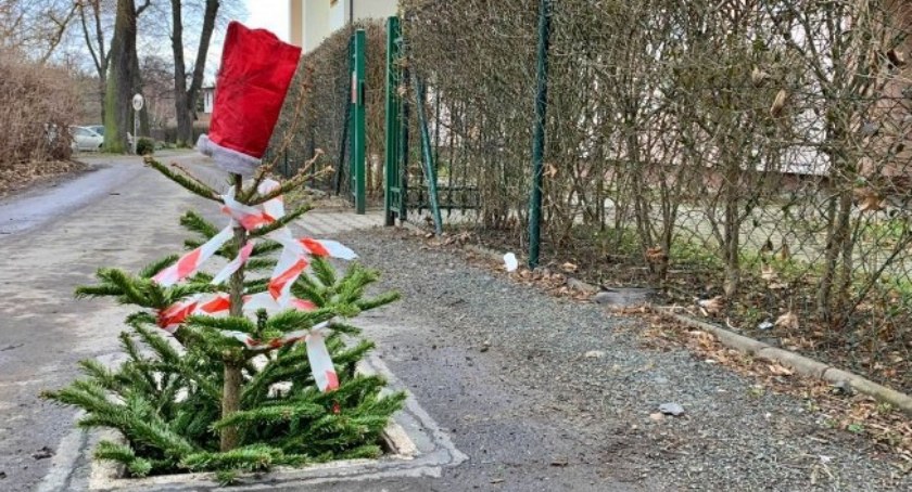 MPGK zabierze Twoje świąteczne drzewko